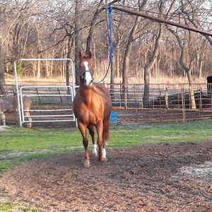 Meet your Posher, Jerry